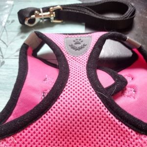 Size small doggie harness with a leash. Never used